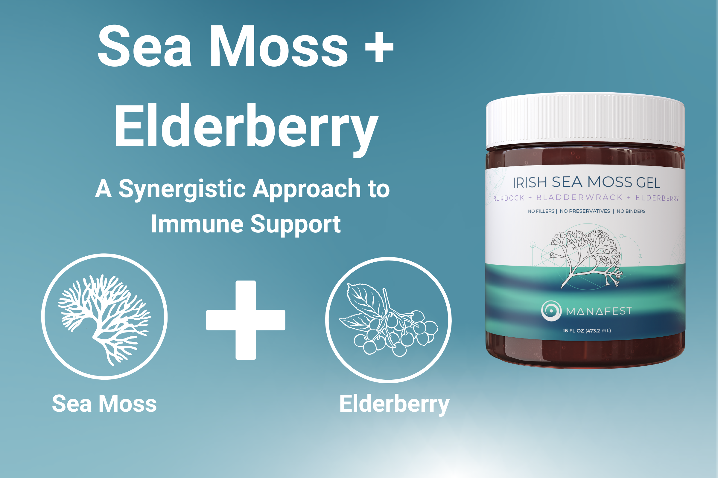 Sea Moss + Elderberry: A Synergistic Approach to Immune Support