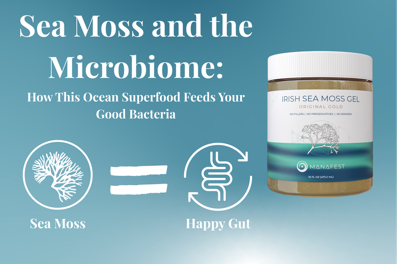 Sea Moss and the Microbiome | Feed Good Gut Bacteria Naturally