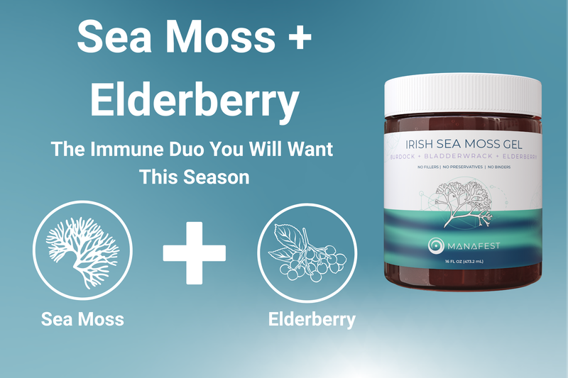 Sea Moss + Elderberry: A Synergistic Approach to Immune Support